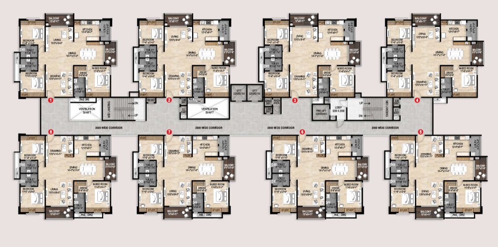 NM 1 (2)
